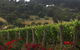 Paringa Estate - thumb 0