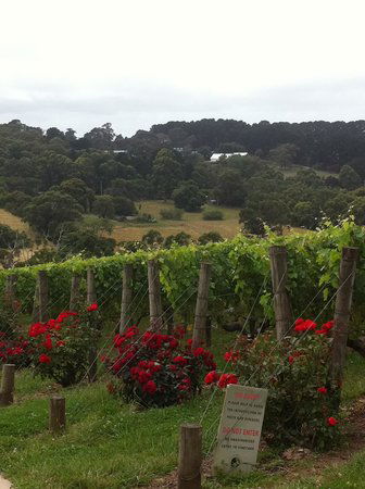 Paringa Estate - Tourism TAS 0