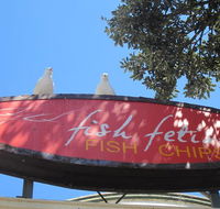 Fish Fetish - Tourism TAS