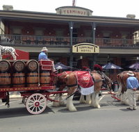 Terminus Hotel - Tourism TAS