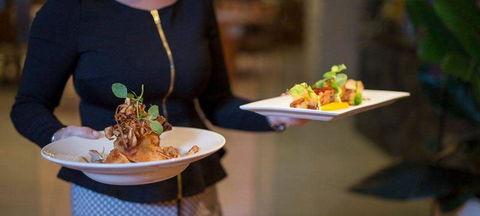 Cafe Amphora - Tourism TAS 1