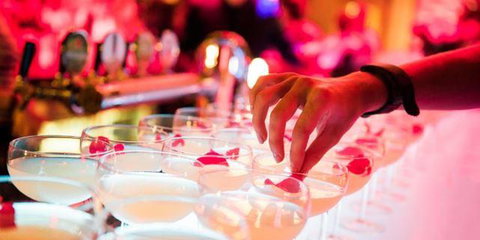 Ms Collins - Tourism TAS 8