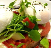 Wild Canary - Tourism TAS