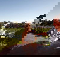 Gapsted Wines - Hobart Tourism