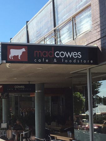 MadCowes Cafe - Hobart Tourism 0