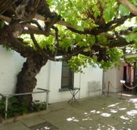 The Vine - Hobart Tourism