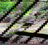 The Wander Inn - Hobart Tourism