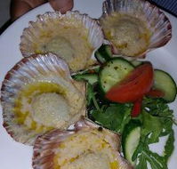 Pellegrini's Cafe - Hobart Tourism