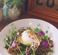 The Shak Organic Cafe  Wine Bar - Hobart Tourism