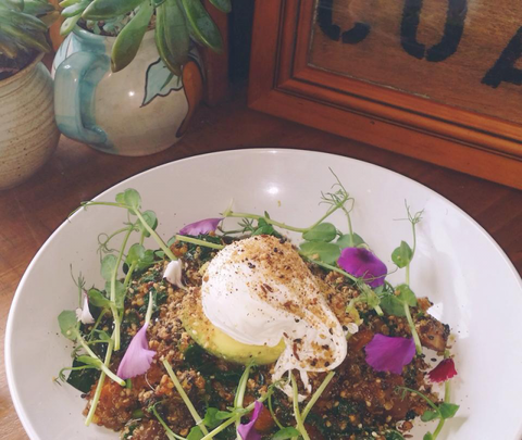 The Shak Organic Cafe & Wine Bar - Hobart Tourism 0