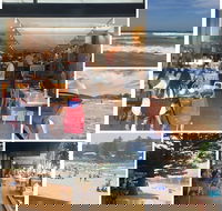 Bookoccino - Hobart Tourism