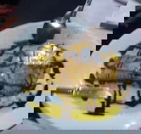 Regal Italian Bistro - Hobart Tourism