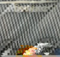 Ruins on Hayward - Hobart Tourism