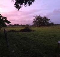 Charcoal Chicken - Hobart Tourism