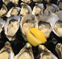 The Oyster Shed - Hobart Tourism