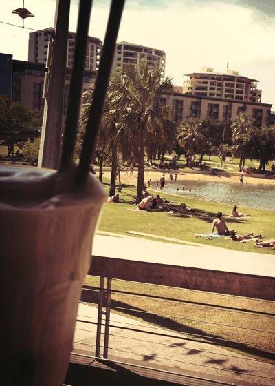 Antiquity Greek Restaurant - Hobart Tourism 1