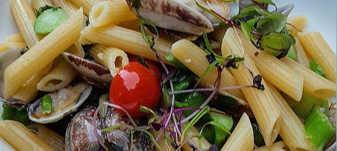 Jannat Authentic Indian Restaurant - Tourism TAS 13