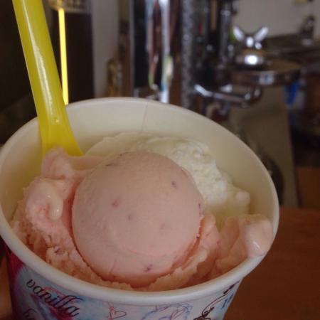 Bermagui Gelati Clinic - Hobart Tourism 0