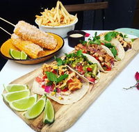 Chihuahua - Hobart Tourism