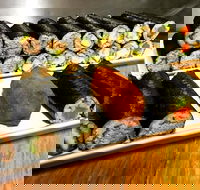 Freewave Sushi  Burgers - Hobart Tourism