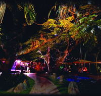 Poinciana - Hobart Tourism