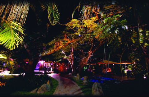 Poinciana - Hobart Tourism 0