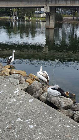 Saltwater Seafoods - Hobart Tourism 0