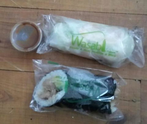 Wasabi Figtree - Hobart Tourism 0