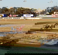 Paceway - Hobart Tourism
