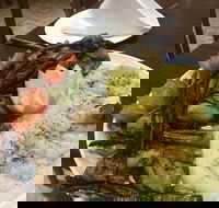 Yummy Yalla Restaurant - Hobart Tourism