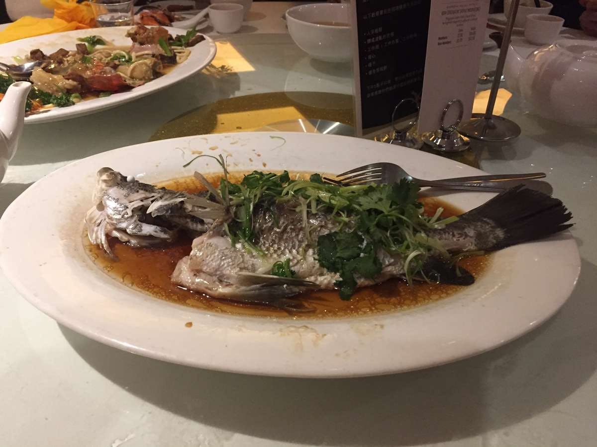 Denistone NSW Tourism TAS