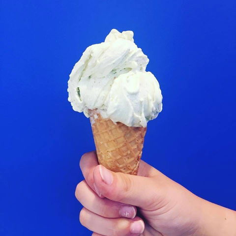Gelato Papa - Hobart Tourism 0