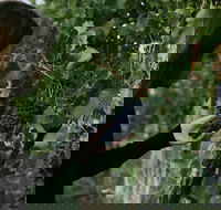 Rowlee Vine To Table Experience - Hobart Tourism