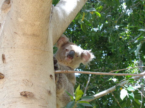 The Artesian Gardens Restaurant - Hobart Tourism 2