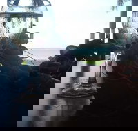 The 3844 - Tourism TAS