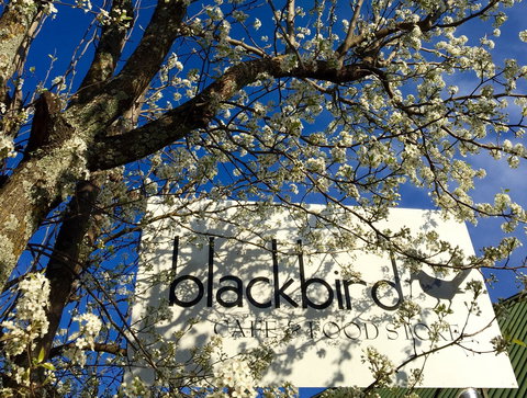 Blackbird Cafe - Tourism TAS 2