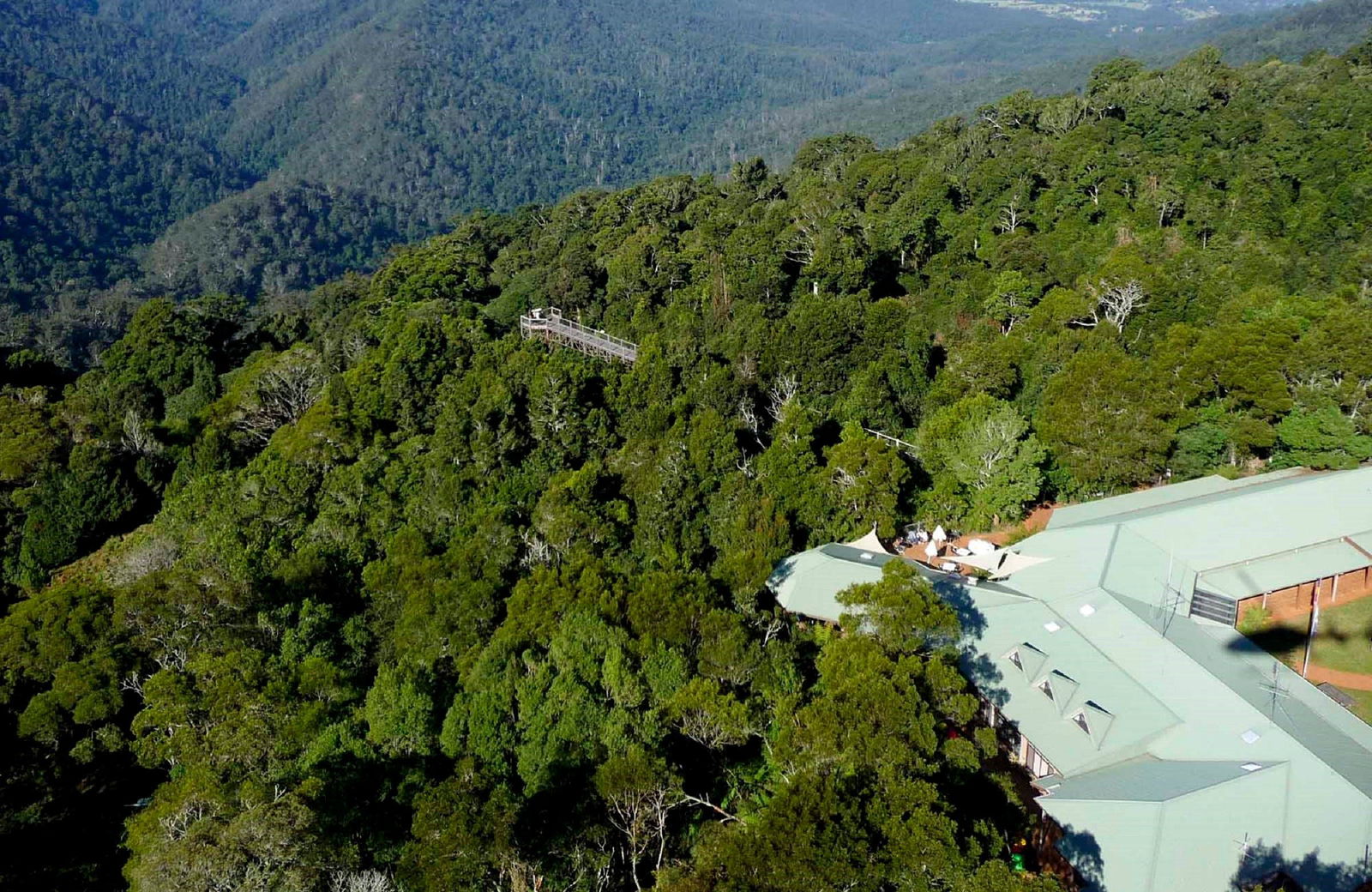 Dorrigo Mountain NSW Hobart Tourism