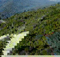 Canopy Cafe - Hobart Tourism