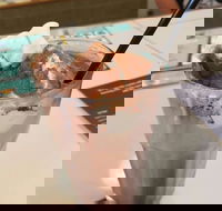 Coffee Mentality - Albion - Hobart Tourism