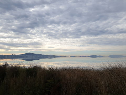 Great Southern Distilling Company - Hobart Tourism 1