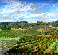 Kellybrook Winery and Kelly Brothers Cider - Hobart Tourism