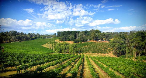 Kellybrook Winery And Kelly Brothers Cider - Hobart Tourism 0