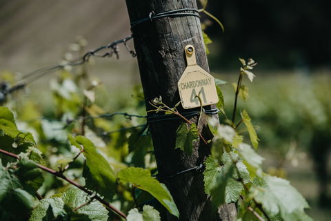 Kellybrook Winery And Kelly Brothers Cider - Hobart Tourism 2