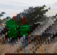 Milawa Organic Beef - Hobart Tourism