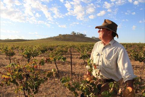 Sally's Paddock At Redbank Winery - Hobart Tourism 2