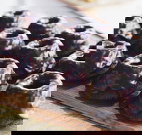 Botanica - Red Hill - Hobart Tourism