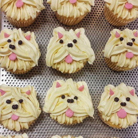 Cupcake Central - Maribyrnong - Hobart Tourism 0