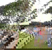 Darwin Ski Club - Hobart Tourism