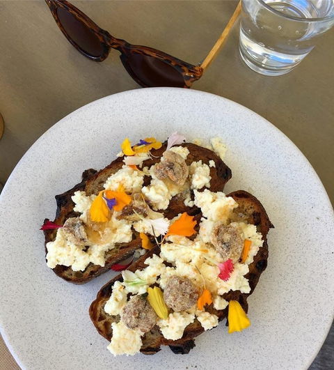 Good One Bondi Beach - Hobart Tourism 0