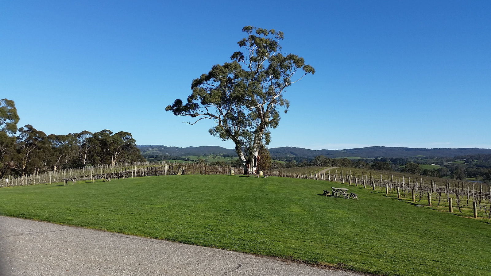  Hobart Tourism